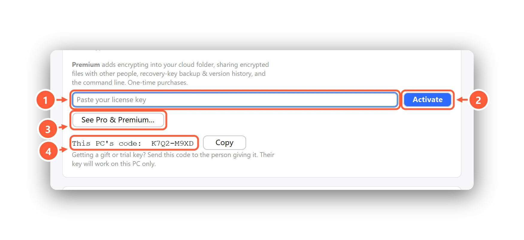 The License section before activation