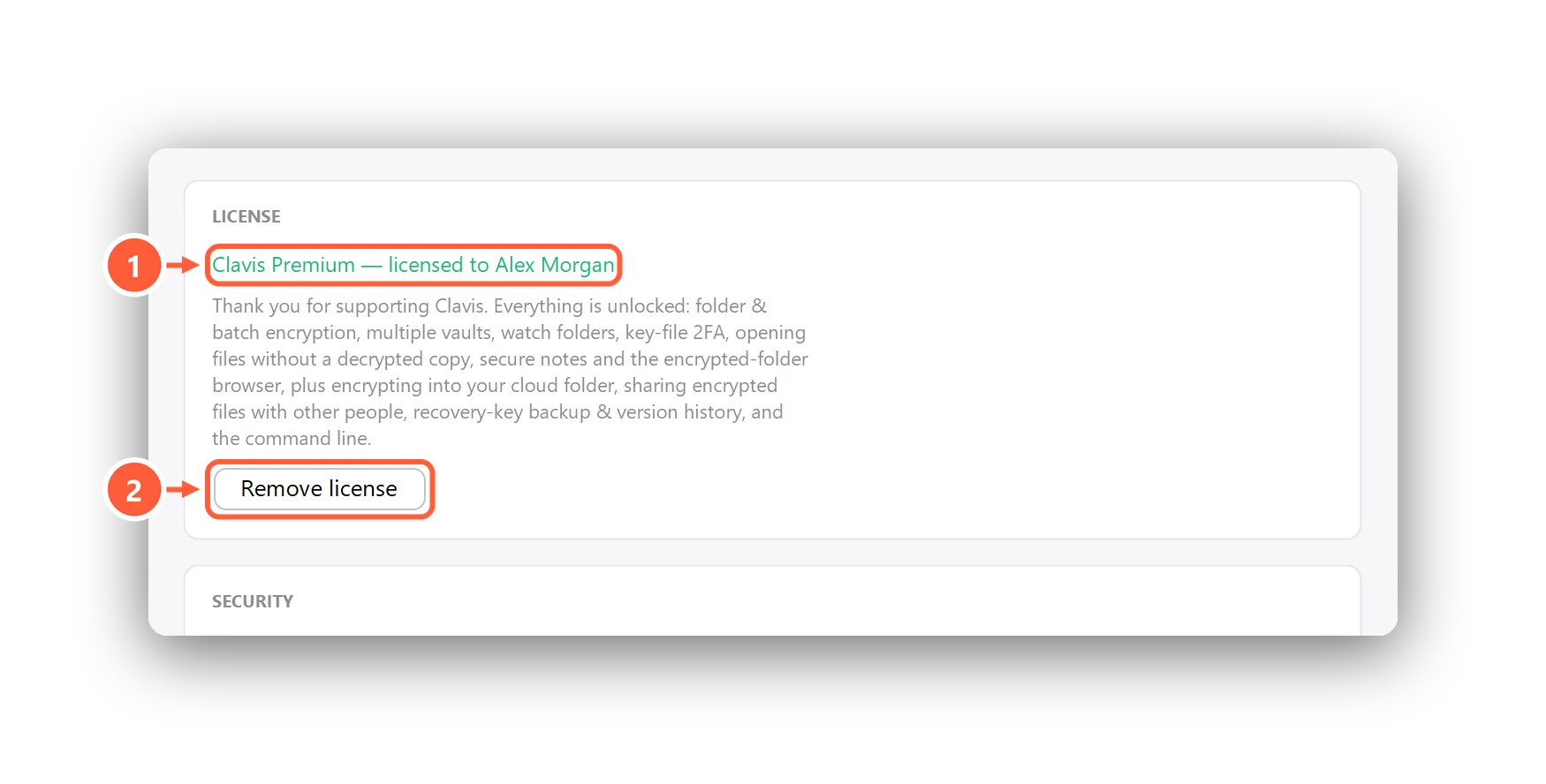 The License section with Premium active