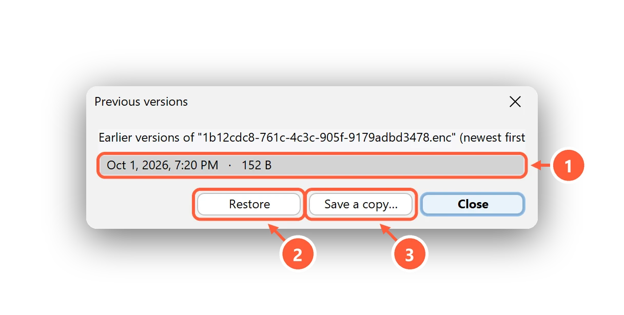 The Previous versions window